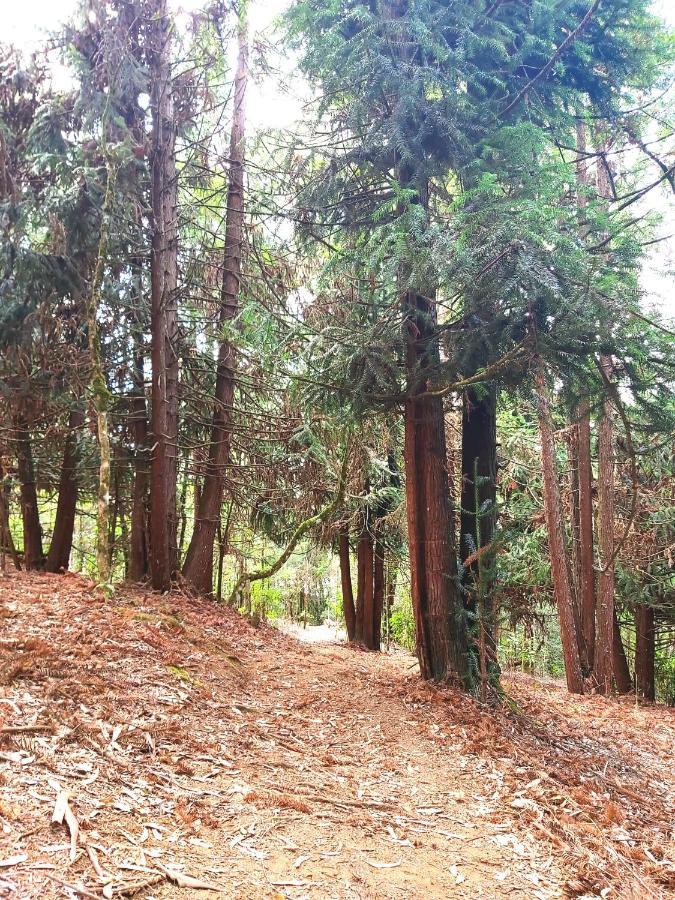 Recanto Das Cerejeiras Campos do Jordão Eksteriør bilde